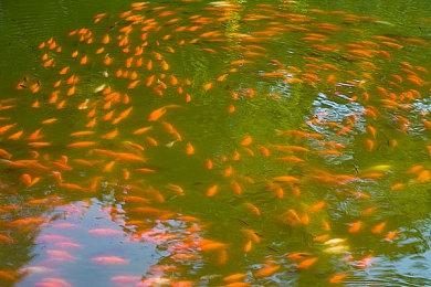 多款育碧游戏Win11更新后无法运行 现已修复